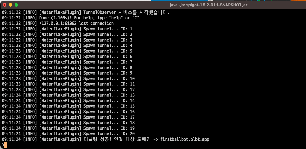 게임 서버 콘솔. 플러그인이 터널 스무 개를 열고 터널링에 성공해 발급받은 도메인에 붙었다